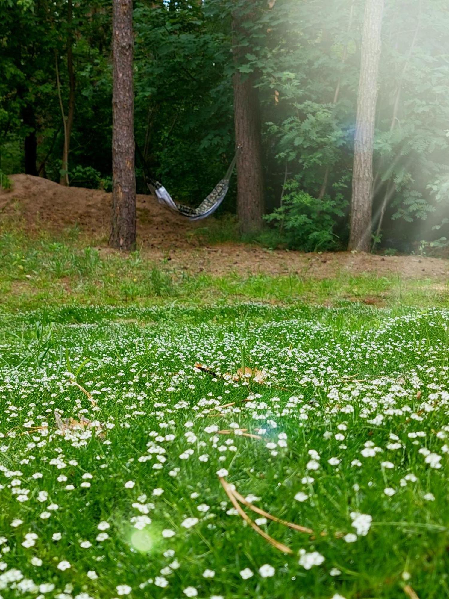 Forrest Style Pokoje Goscinne Warschau Exterior foto